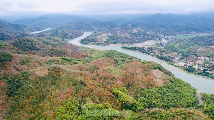 Nghe An forest offers picturesque landscape - 7