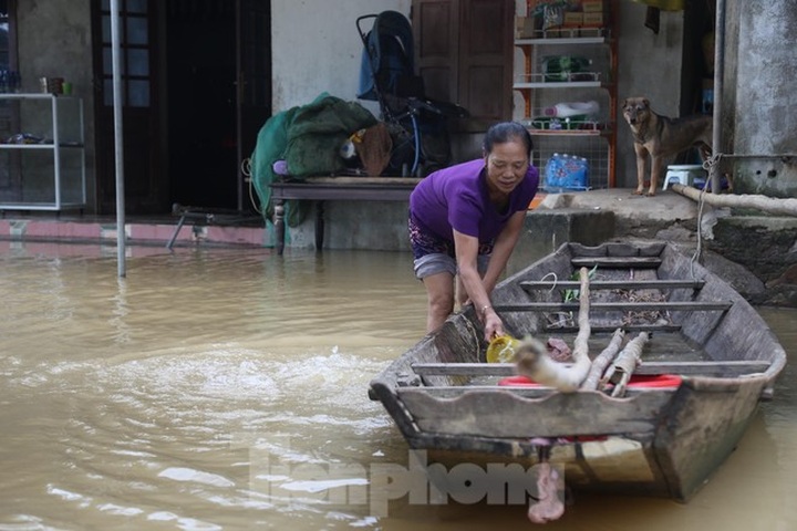 Thousands of Nghe An households still isolated by flooding - 3 Thousands of Nghe An households still isolated by flooding - 3