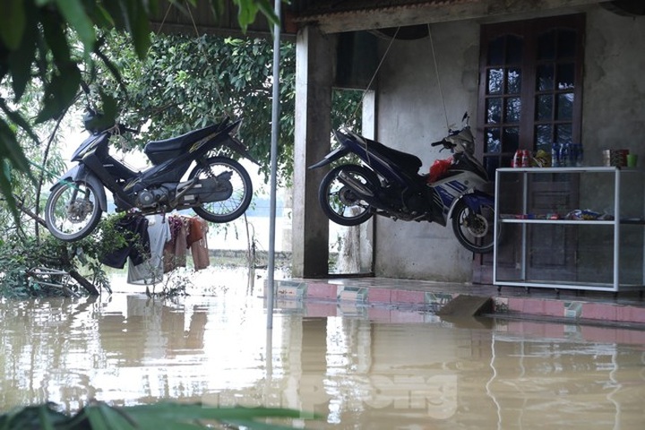 Thousands of Nghe An households still isolated by flooding - 4 Thousands of Nghe An households still isolated by flooding - 4