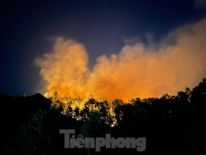 Two consecutive forest fires occur in Ha Long - 4