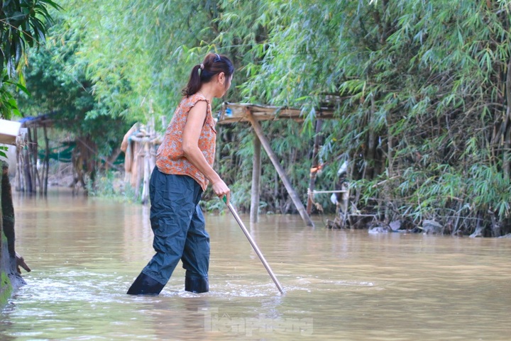 Nghe An’s riverside residents struggle with prolonged flooding - 8 Nghe An’s riverside residents struggle with prolonged flooding - 8