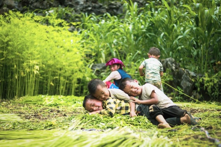 Hemp harvest in Ha Giang - 7