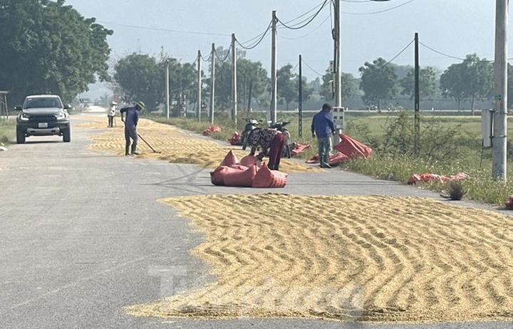 Roads encroached for drying rice - 3