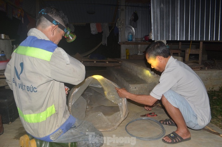 Nghe An farmers hunt grasshoppers overnight - 1 Nghe An farmers hunt grasshoppers overnight - 1