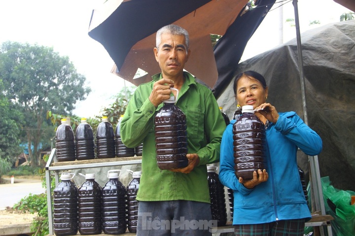 Sugarcane honey commune bustling ahead of Tet - 7