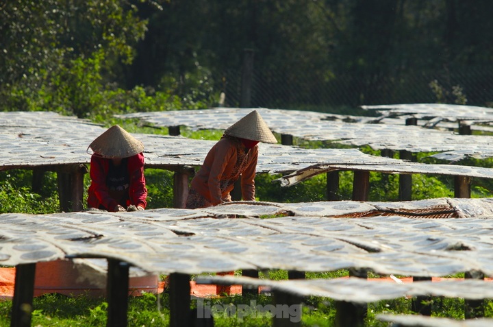 Nghe An rice cracker village busy ahead of Tet - 6