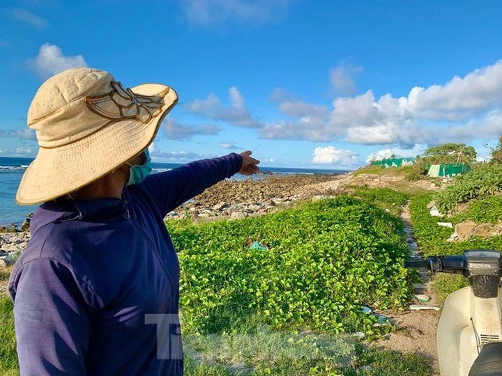 Ly Son beach severely eroded - 2