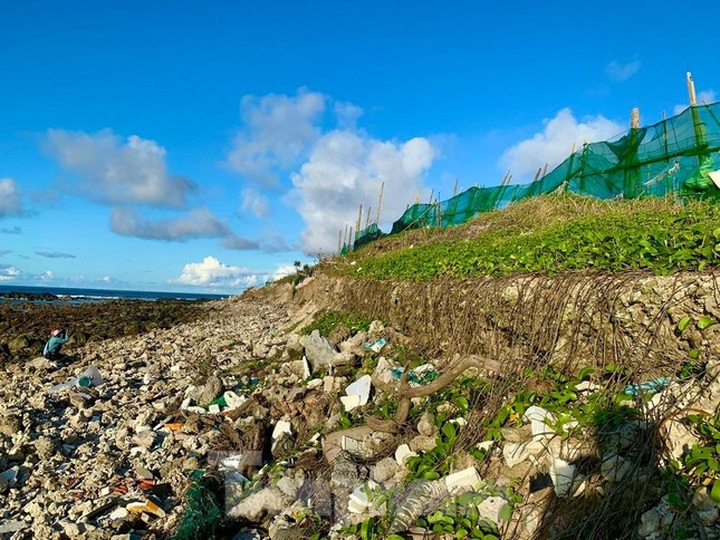Ly Son beach severely eroded - 3