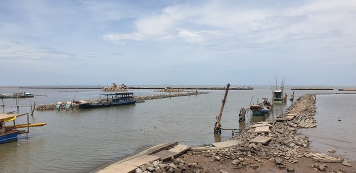 Ca Mau needs VND5 trillion to tackle coastline erosion - 2 Ca Mau needs VND5 trillion to tackle coastline erosion - 2