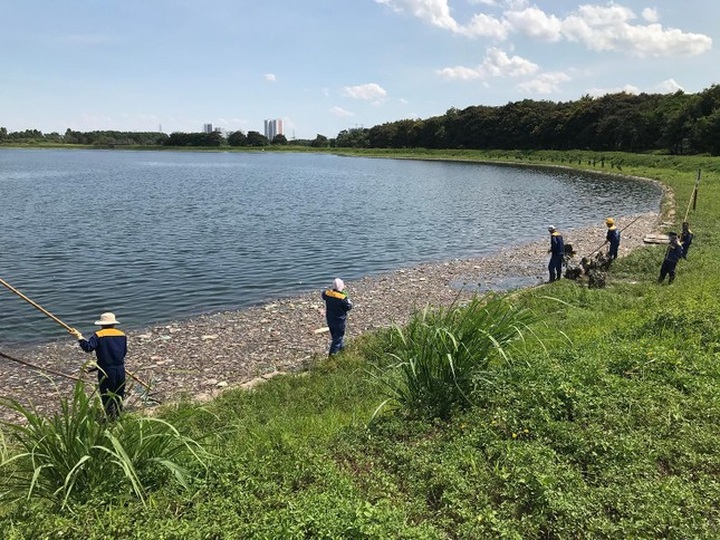 Hanoi lake experiences mass fish deaths - 5