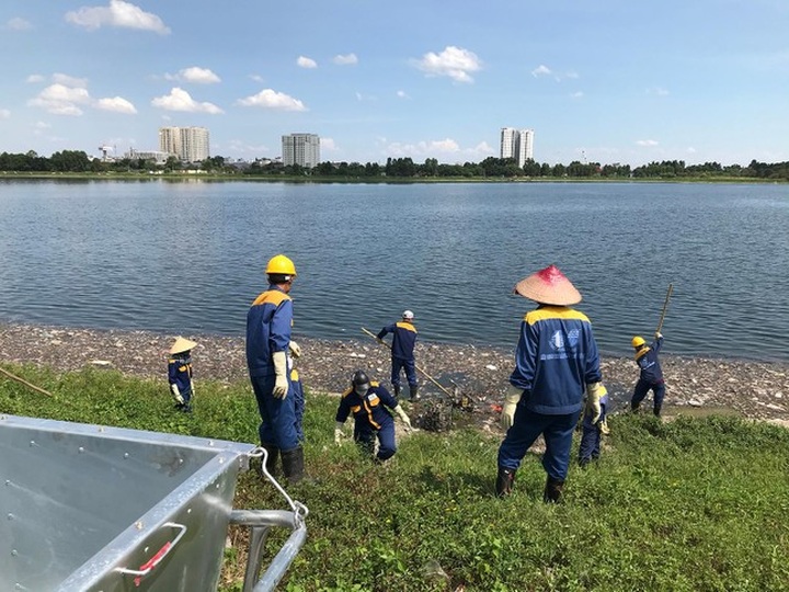 Hanoi lake experiences mass fish deaths - 6