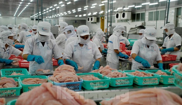 More Vietnamese firms approved for catfish export to the US - 1