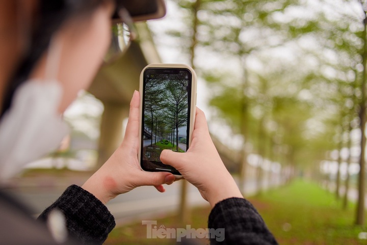 Beauty of Hanoi’s Madagascar almond road - 6 Beauty of Hanoi’s Madagascar almond road - 6