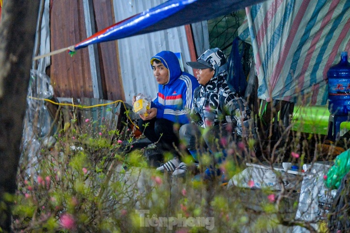 Hanoi bonsai sellers guard trees at night - 1 Hanoi bonsai sellers guard trees at night - 1