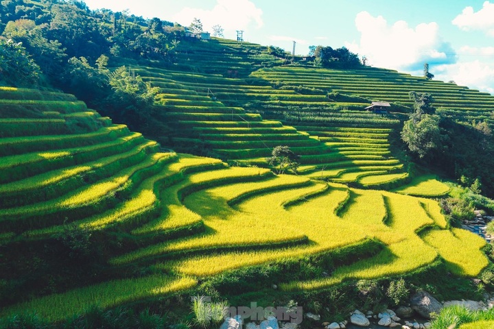 Beauty of Ha Giang terraced fields - 7 Beauty of Ha Giang terraced fields - 7