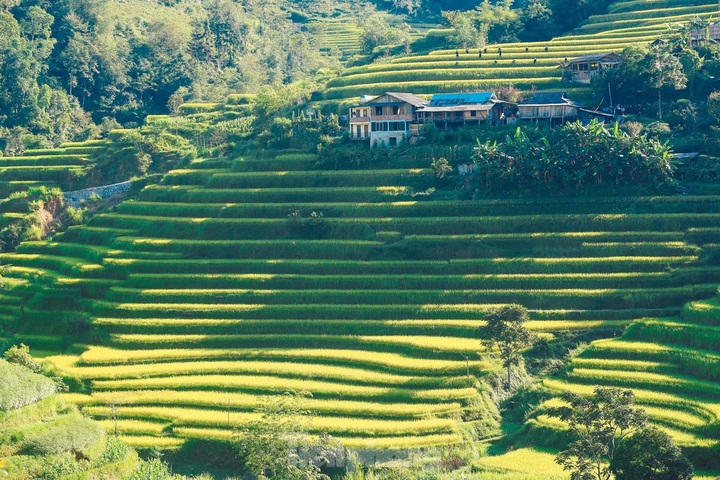 Beauty of Ha Giang terraced fields - 8 Beauty of Ha Giang terraced fields - 8