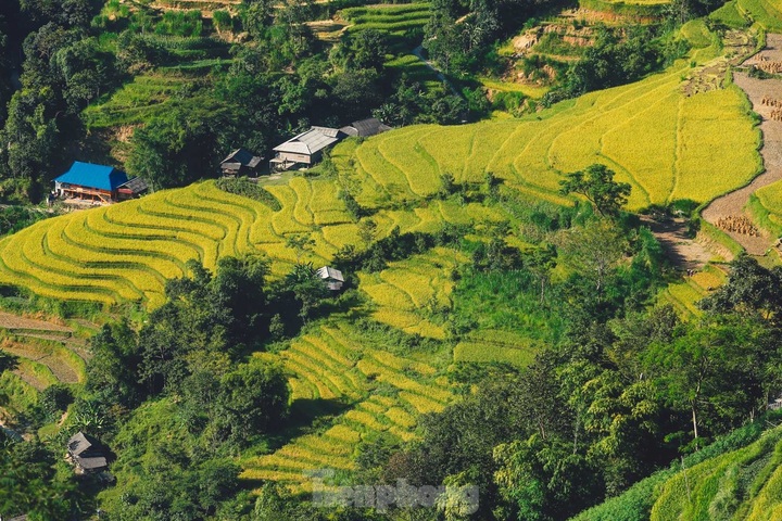 Beauty of Ha Giang terraced fields - 3 Beauty of Ha Giang terraced fields - 3