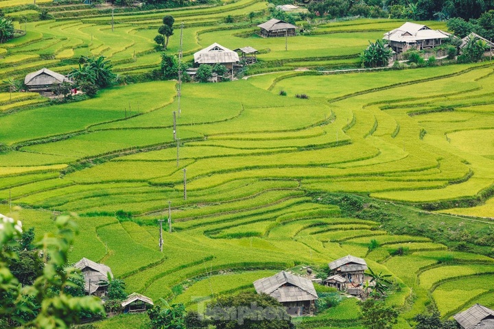 Beauty of Ha Giang terraced fields - 4 Beauty of Ha Giang terraced fields - 4