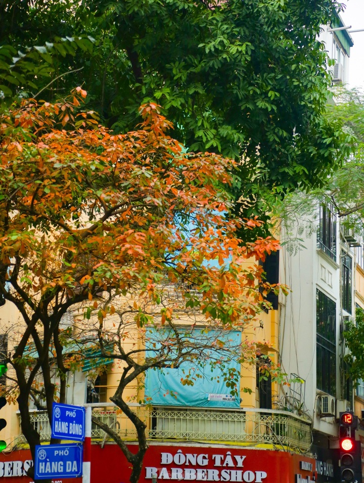 Hanoi in the changing season - 6