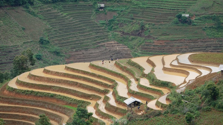 Mu Cang Chai’s terraced rice fields glitter during planting season - 3 Mu Cang Chai’s terraced rice fields glitter during planting season - 3