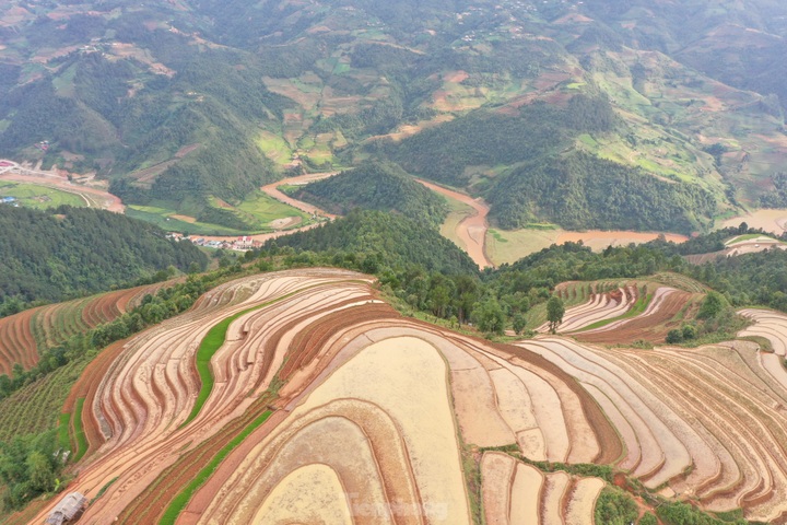 Mu Cang Chai’s terraced rice fields glitter during planting season - 2 Mu Cang Chai’s terraced rice fields glitter during planting season - 2