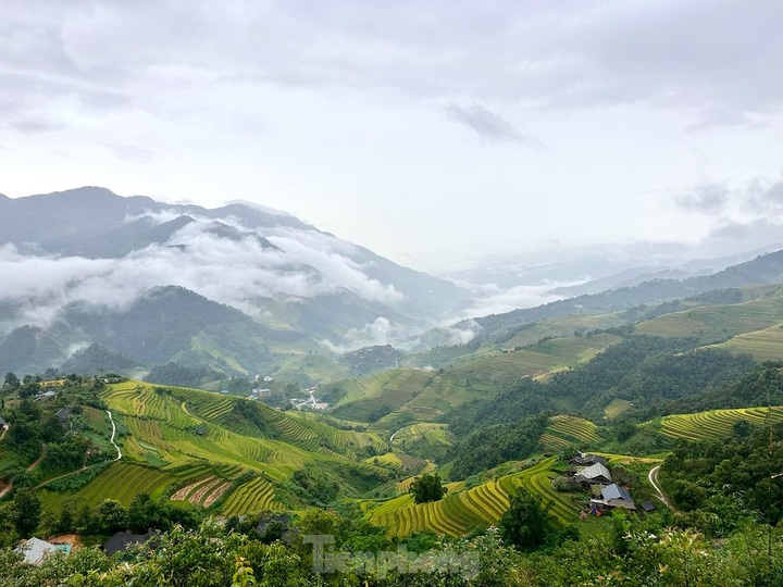Mu Cang Chai in the rice ripening season - 1 Mu Cang Chai in the rice ripening season - 1