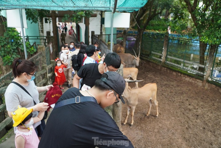 Hanoi, HCM City parks crowded on International Children’s Day - 8