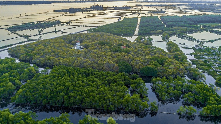 Thua Thien-Hue forest at season's change - 2