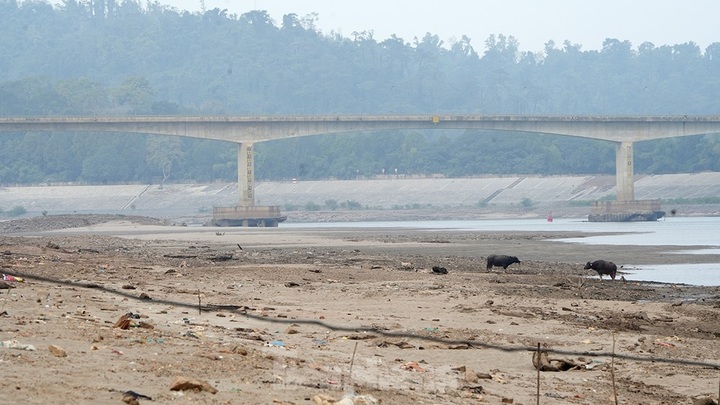 Da River sees record-low water level - 5