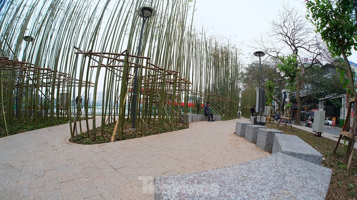 Hanoi reveals new bamboo garden - 3 Hanoi reveals new bamboo garden - 3