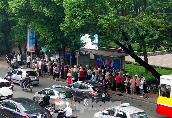 Hundreds of old people queue to get free bus pass - 2