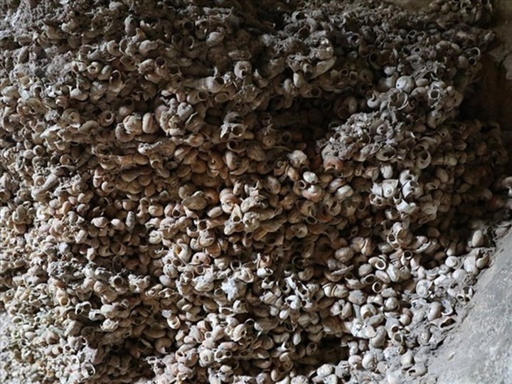 Traces of early humans found in Ninh Binh - 1 Traces of early humans found in Ninh Binh - 1