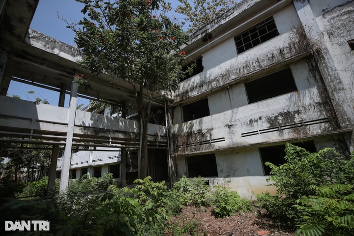 School abandoned for 15 years in HCM City - 2