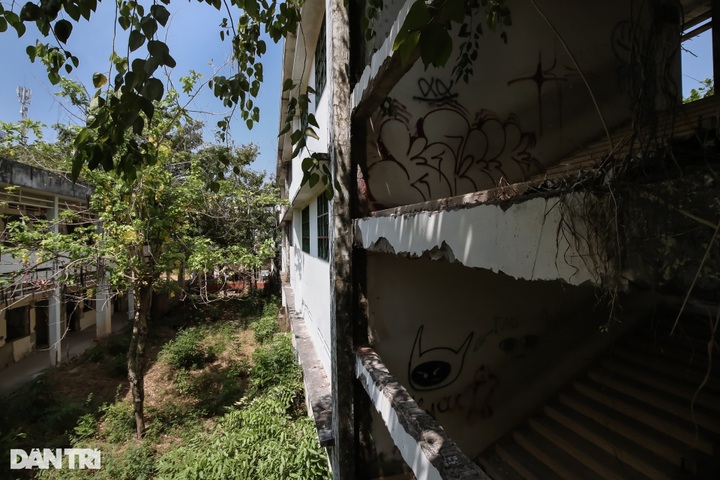 School abandoned for 15 years in HCM City - 3