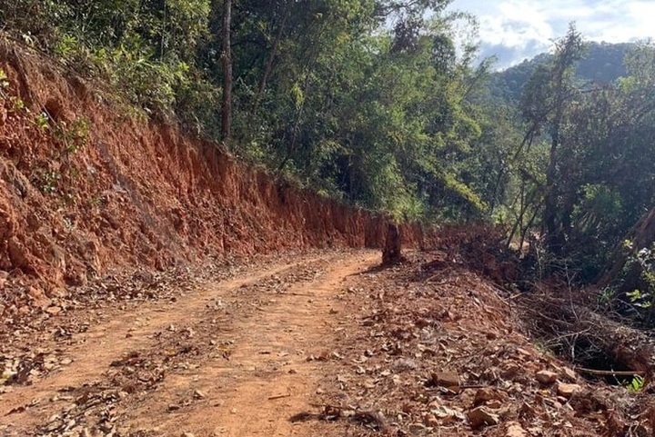 Illegal road destroys Central Highland national park land - 1