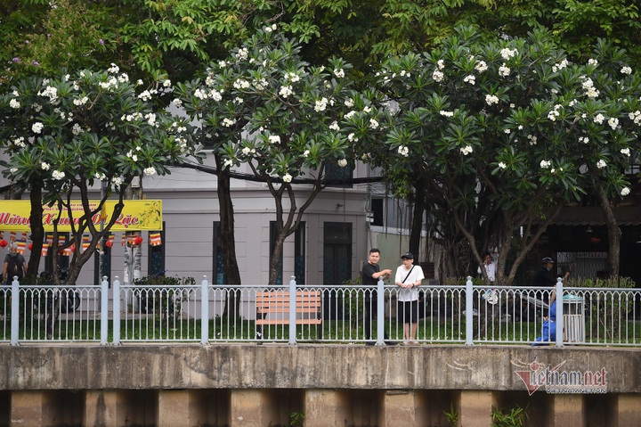 HCM City canal area attracts visitors after being upgraded - 6