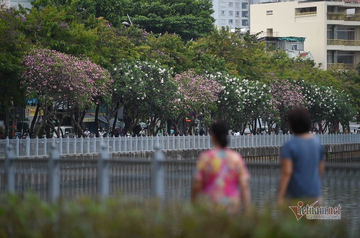 HCM City canal area attracts visitors after being upgraded - 4