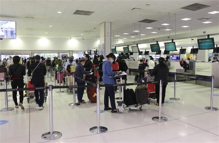 Nearly 1,000 Vietnamese citizens return home - 1