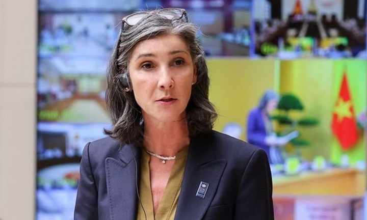 UNDP pledges to support Vietnam in green energy transition - 1