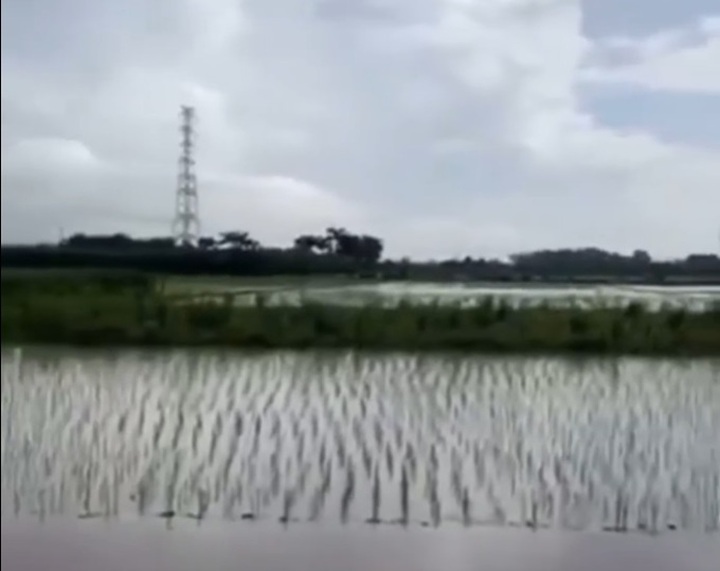 Two people killed in lightning strike - 1