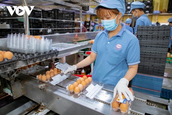 Firms increase prices following petrol price hikes - 1