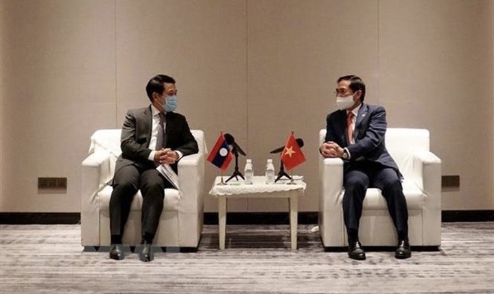 Foreign ministers of Vietnam, Laos applaud mutual support in COVID-19 fight - 1