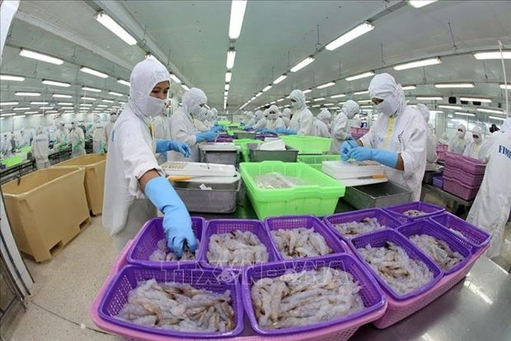 WB: Vietnam's economy continues to show resilience - 1