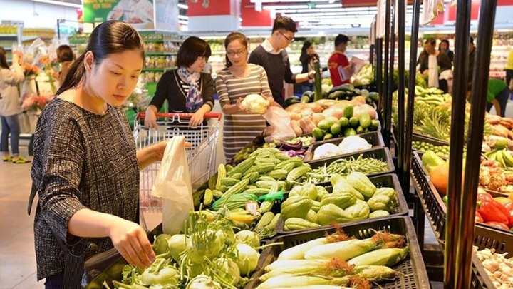 Vietnamese consumer price index to fall within limit this year, says economist - 1