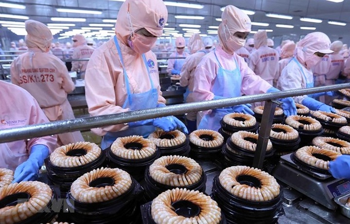 WB highlights benefits, challenges from FTA with EU to Vietnam - 1