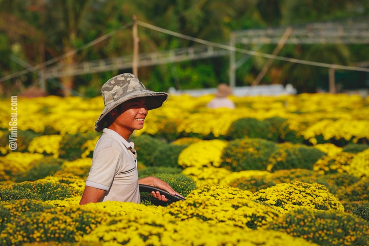 Mekong delta flower village attracts Tet visitors - 8