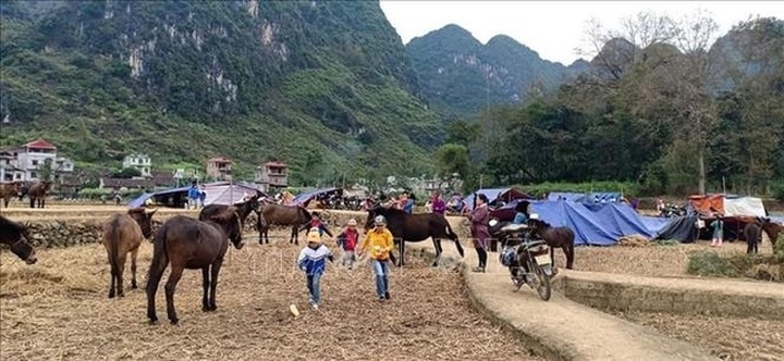 People sleep outside after Cao Bang earthquakes - 2 People sleep outside after Cao Bang earthquakes - 2