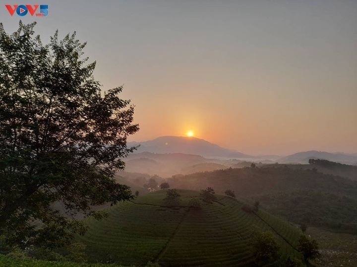 Stunning beauty of northern tea hill - 4