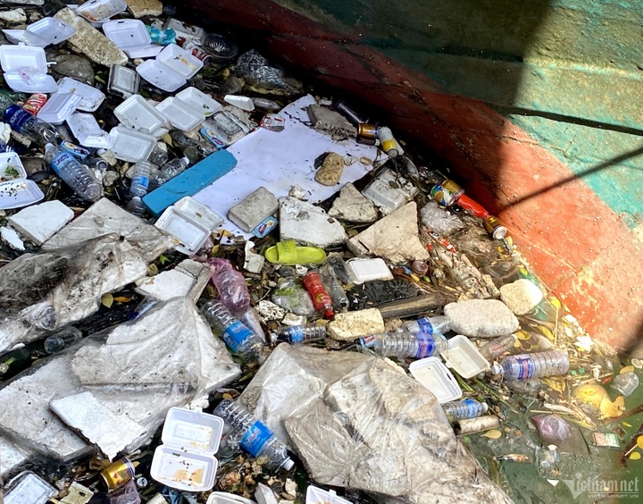 Binh Dinh fish port suffers serious pollution - 2 Binh Dinh fish port suffers serious pollution - 2