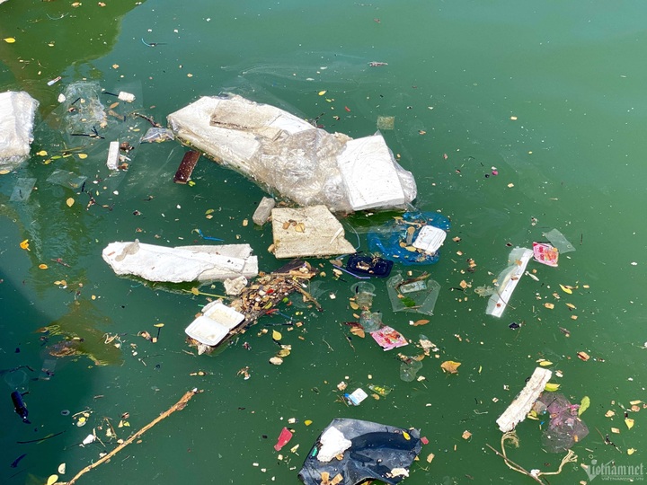 Binh Dinh fish port suffers serious pollution - 4 Binh Dinh fish port suffers serious pollution - 4